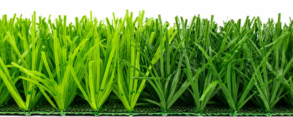 eco stem