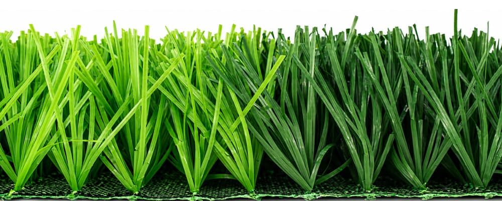 stem